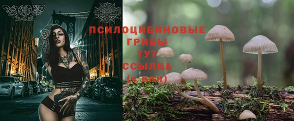 метадон Ростов