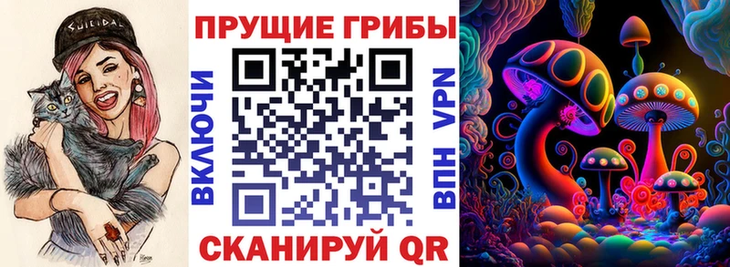Псилоцибиновые грибы мицелий  Спас-Клепики 
